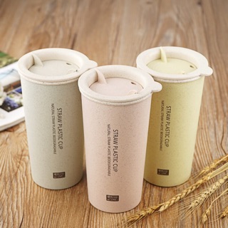 Cốc lúa mạch - Bình nước lúa mạch