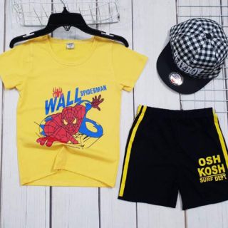 Combo binh le