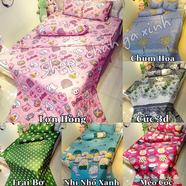 Bộ Chăn Ga Gối 5 Món Cotton Polly đủ màu, đủ size, ga giường miễn phí bo chun