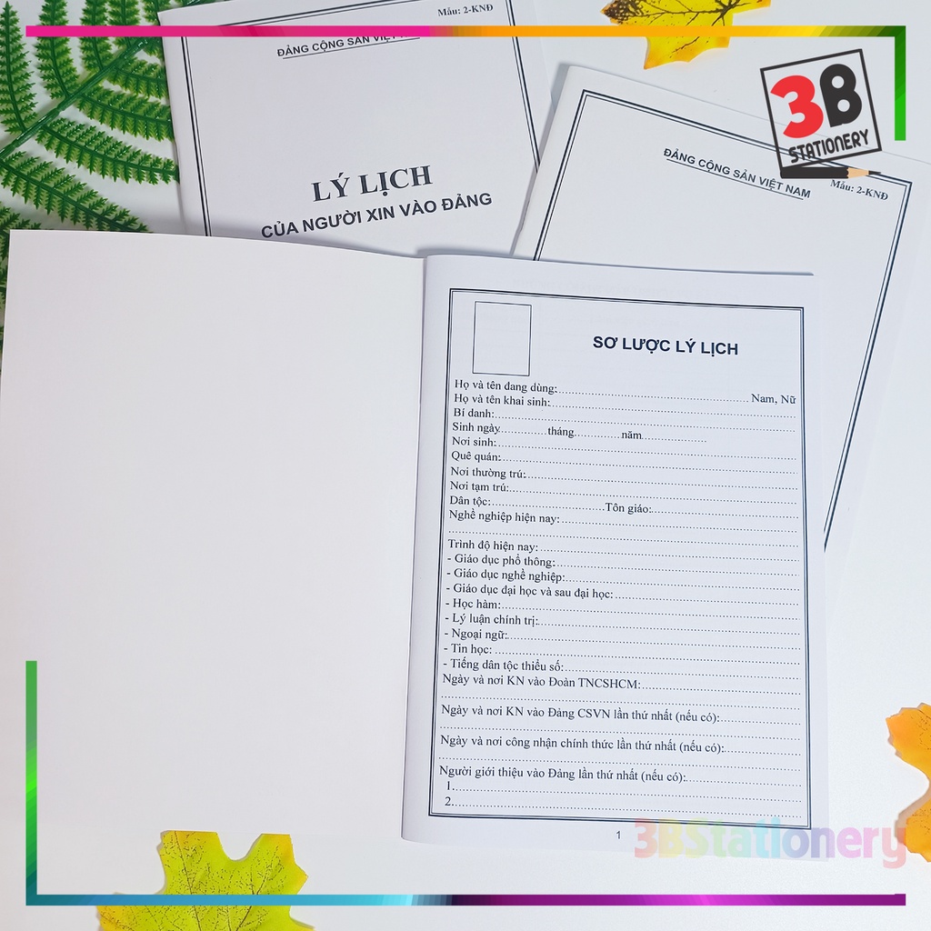Lý lịch của người xin vào Đảng mẫu 02-KNĐ