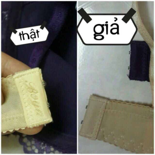 Áo lót  trơn cúp ngang ĐỆM DÀY
