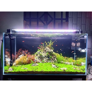 Đèn Xuanmeilong 30cm - Đèn wrgb 30cm - Đèn led thủy sinh 4 màu