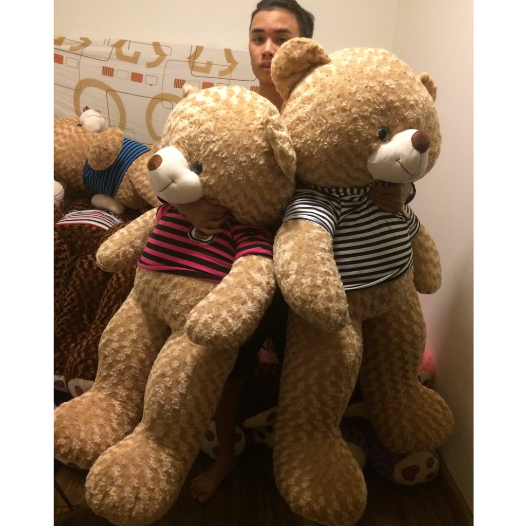 Gấu Teddy khổ vải m6