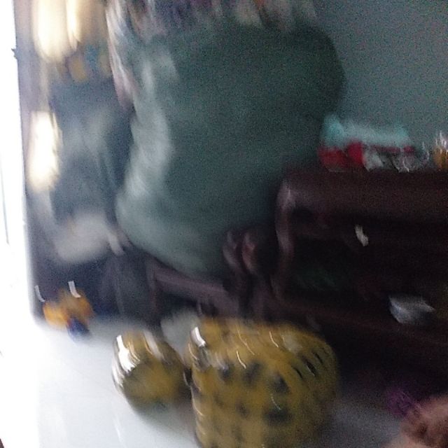 Hang si bông bon binh bi