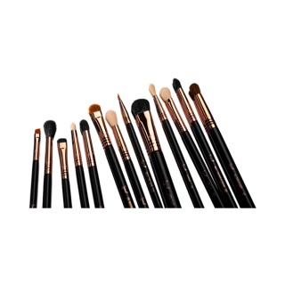 Sigma 🔆 Cọ đánh mắt Sigma các loại