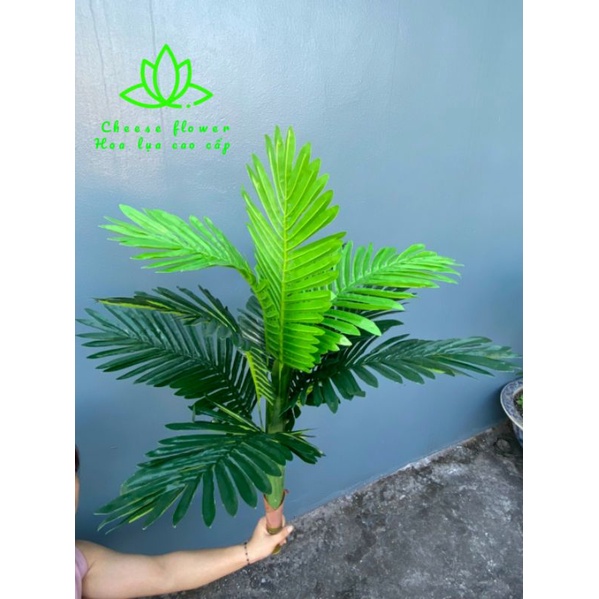 Cây dừa nhân tạo dài 1m trang trí, decor nhà cửa_Hoa , cây giả trang trí