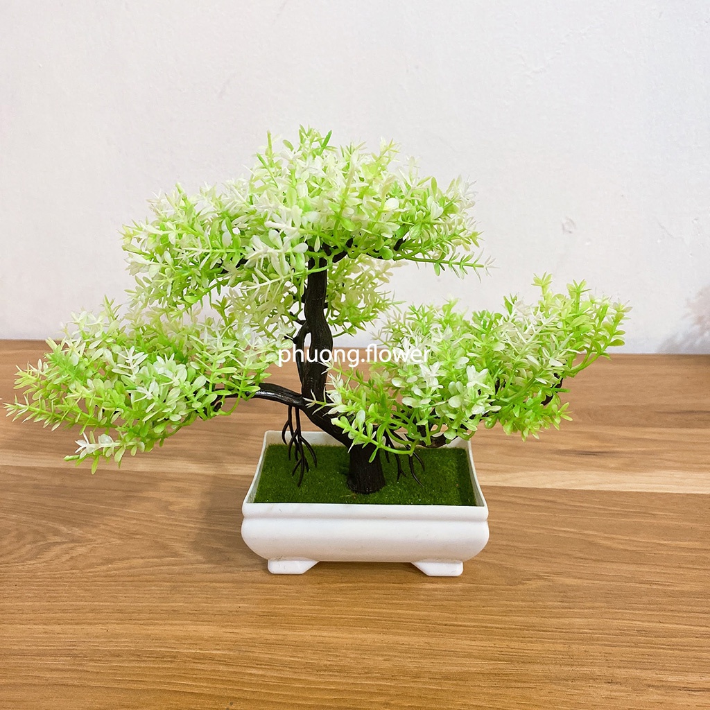Chậu cây thông bonsai giả nhựa 3 tán kèm chậu trang trí nội thất để bàn cực đẹp kích cỡ 25cm x 18cm