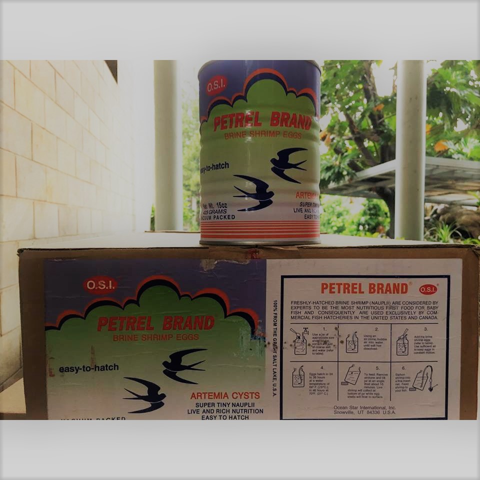 Trứng Artemia Mỹ Chất Lượng Quốc Tế 25g