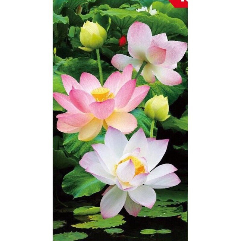 Tranh đính đá Hoa sen 100x60cm VS074