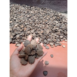1kg hạt gấc rang thơm,giã nhỏ
