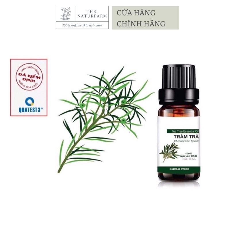 [ 10ML ] Tinh Dầu Tràm Trà 100% Organic - Chai nhỏ giọt ( Tea Tree Oil )