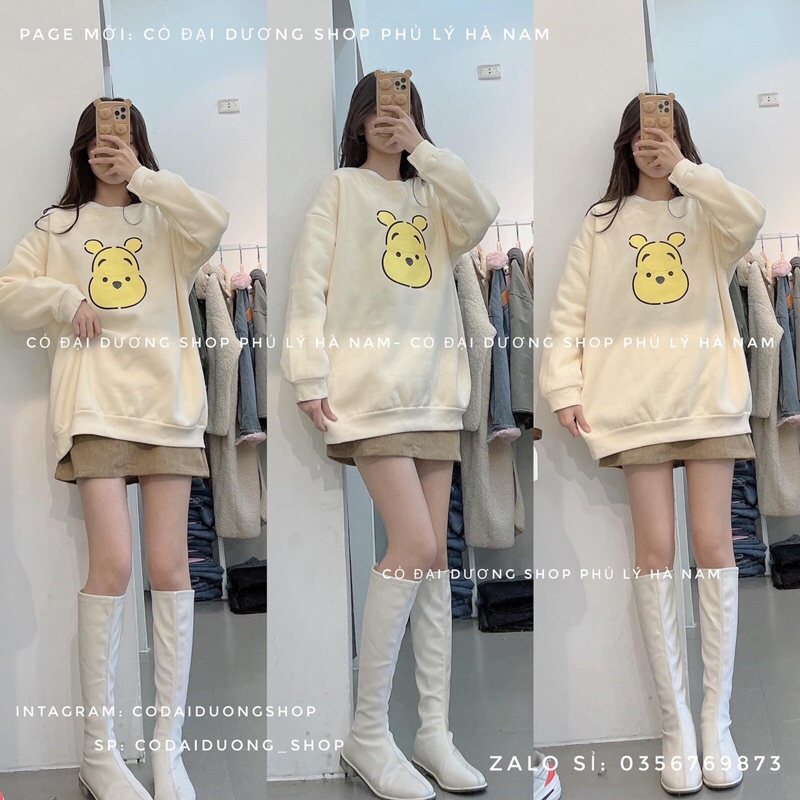 áo nỉ SWT in hình gấu | BigBuy360 - bigbuy360.vn