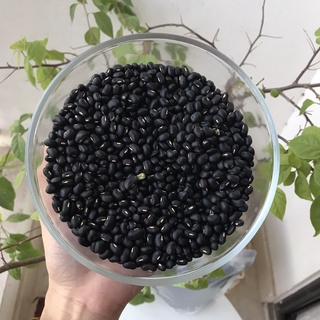 ĐỐ ĐEN RANG XANH LÒNG HẠ THỔ 1KG