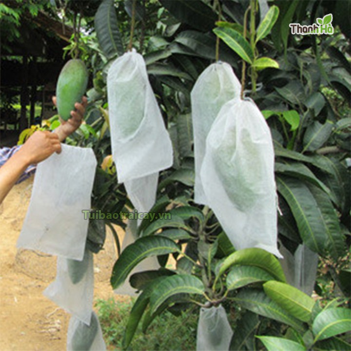 100 Túi Vải Bao Xoài kích thước 20x27cm - TV2027