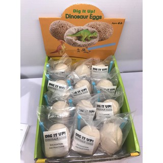 TRỨNG KHỦNG LONG HOÁ THẠCH - DINOSAUR EGGS - DIG IT UP!!! (combo 12 quả)
