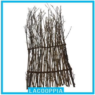 [Hàng rào sân vườn tại nhà Bar Hut Hàng rào tre Hàng rào tự nhiên Sàng lọc ngoài trời