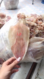 Mực khô size 16-20 con / 1kg