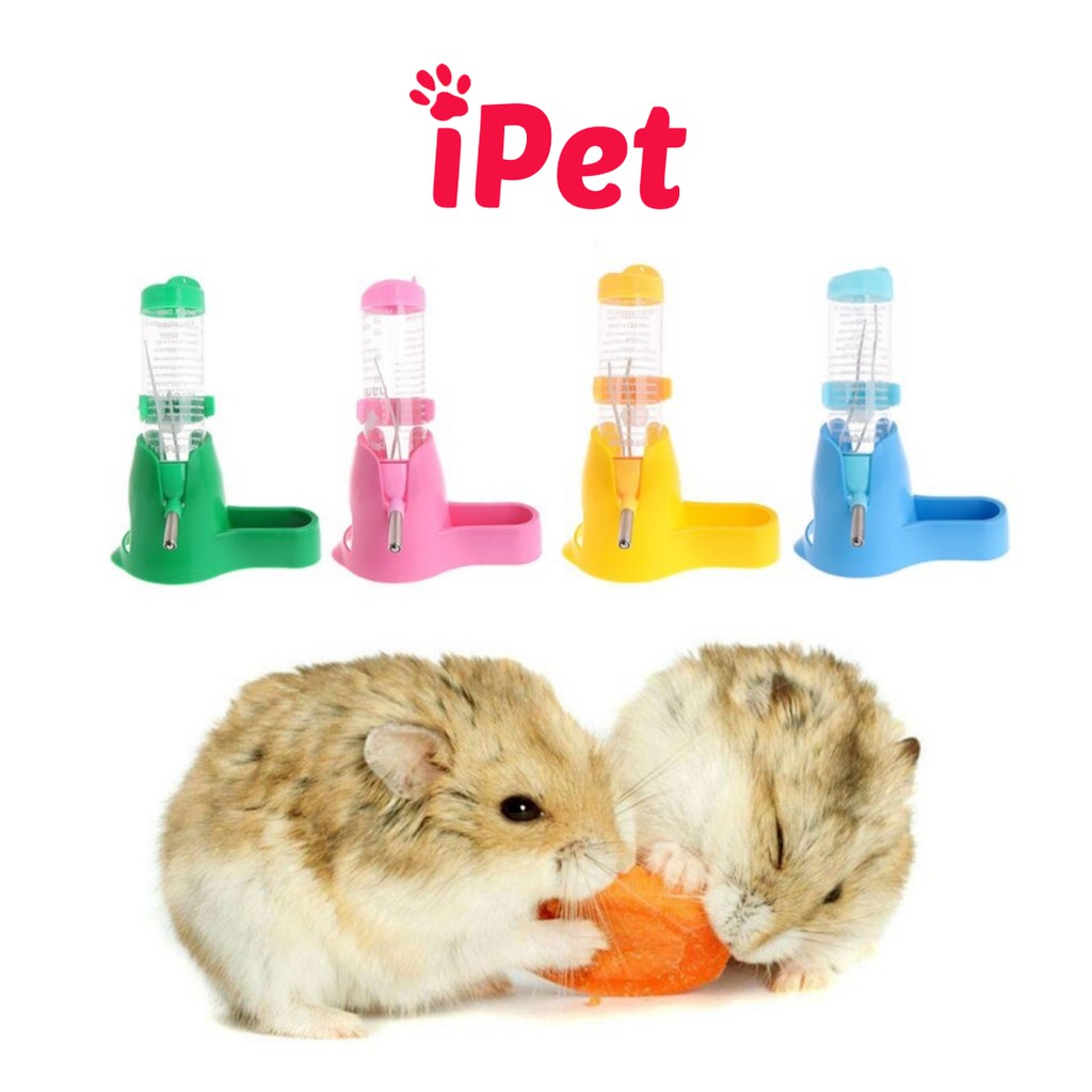 Phụ Kiện Hamster - Đế Đựng Bình Nước Cho Hamster 3in1, 2in1 - iPet Shop