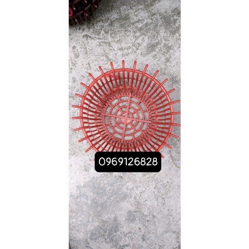 Chậu nhựa trồng Lan đang đủ màu ,F25, F30 ,F35  ảnh thật