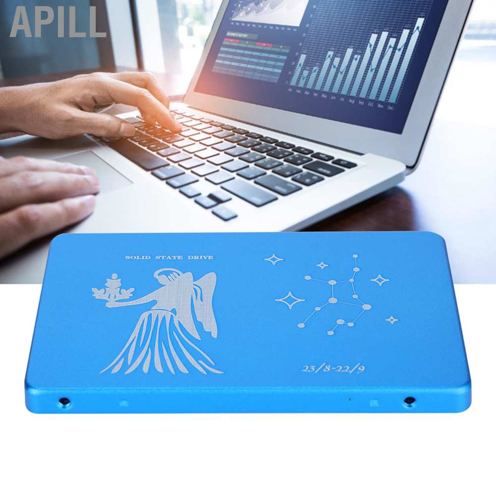 Apill Hsthe Sea Mobile Solid State Disk Portable 2.5 Inch Virgo Blue Metal External SSD for PC Computer