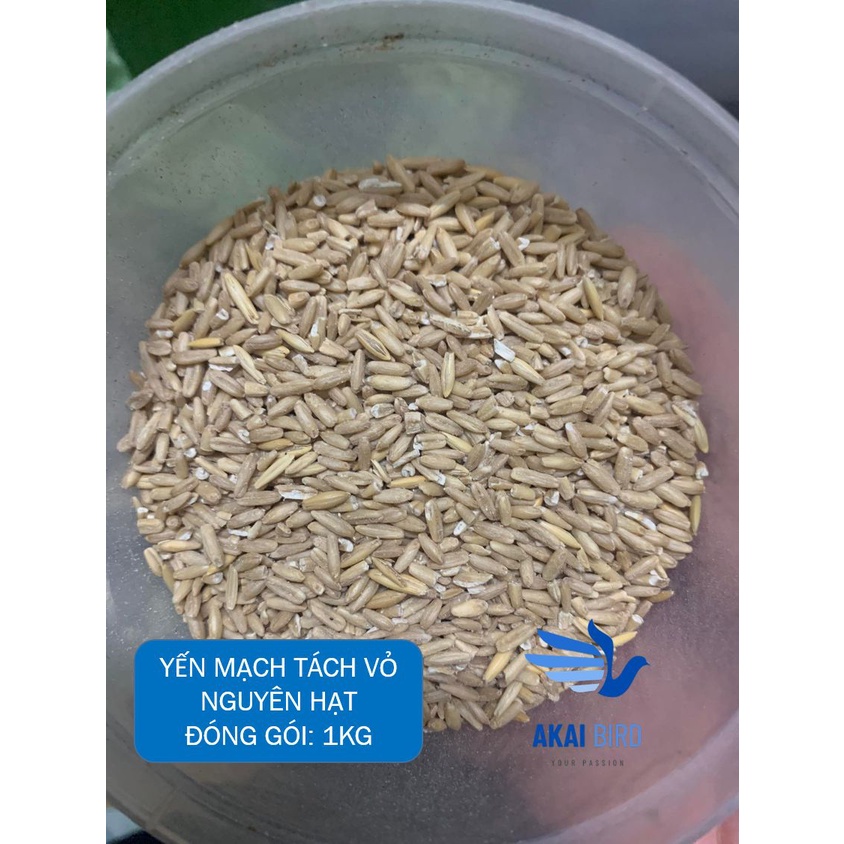 [1KG] Yến Mạch Nguyên Vỏ / Tách Vỏ Dành Cho Vẹt, Chim Cảnh, Hamster, Sóc...