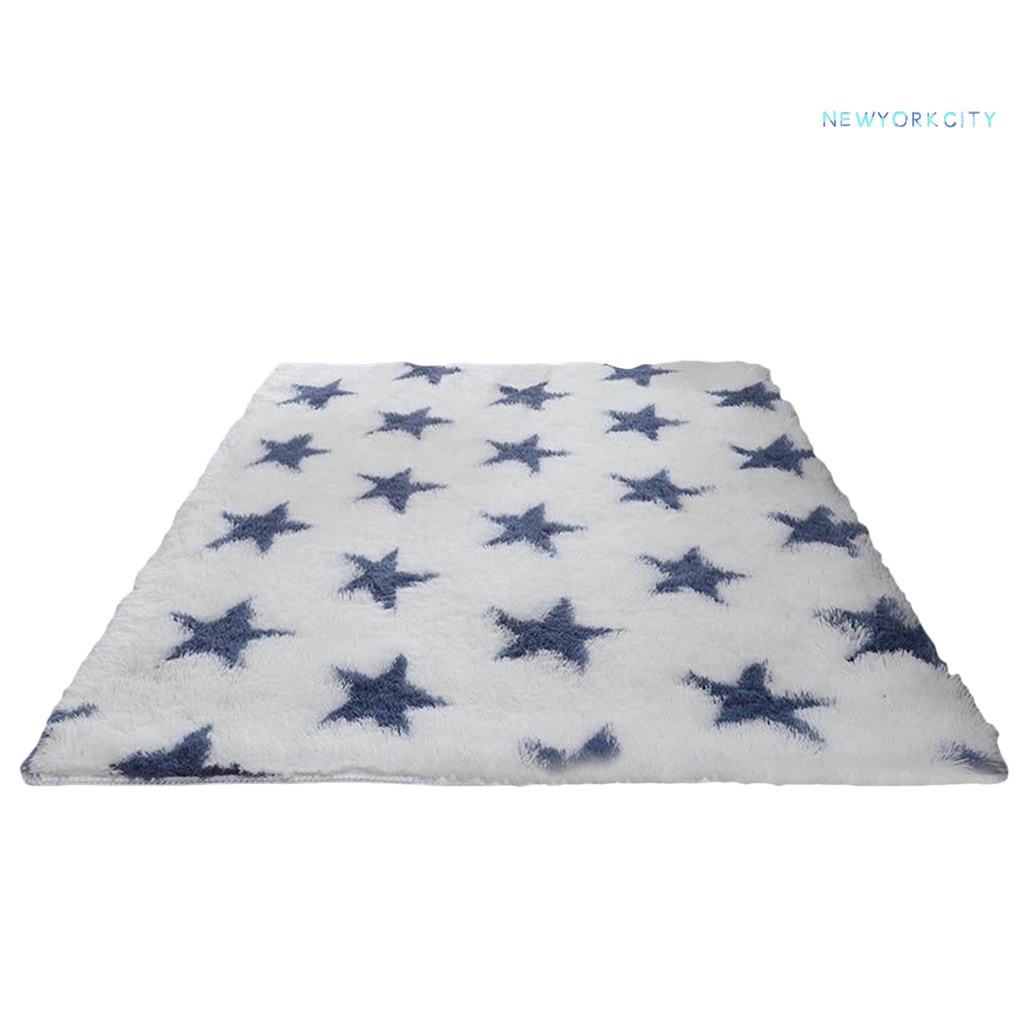 Thảm Chùi Chân Chống Trượt Bằng Sợi Polyester