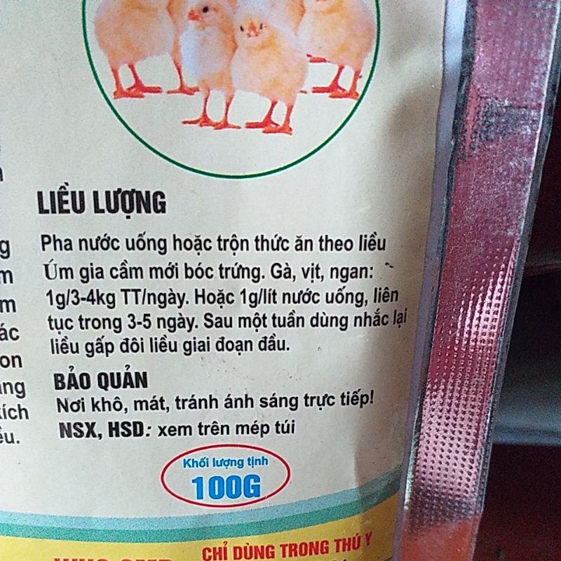 Úm gà vịt ngan, chim. gà đá, ngỗng, nano úm. thú cưng