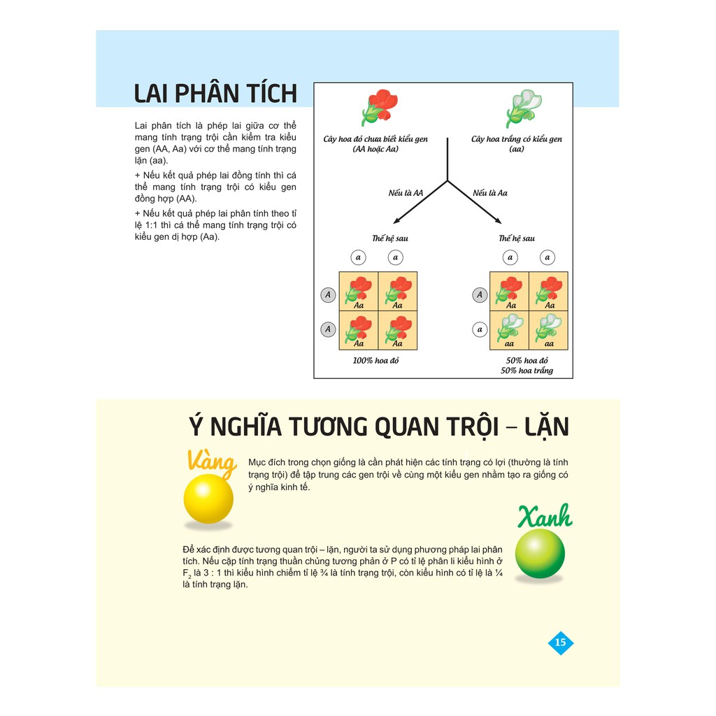 Sách - Bí quyết tăng nhanh điểm kiểm tra Sinh học 9