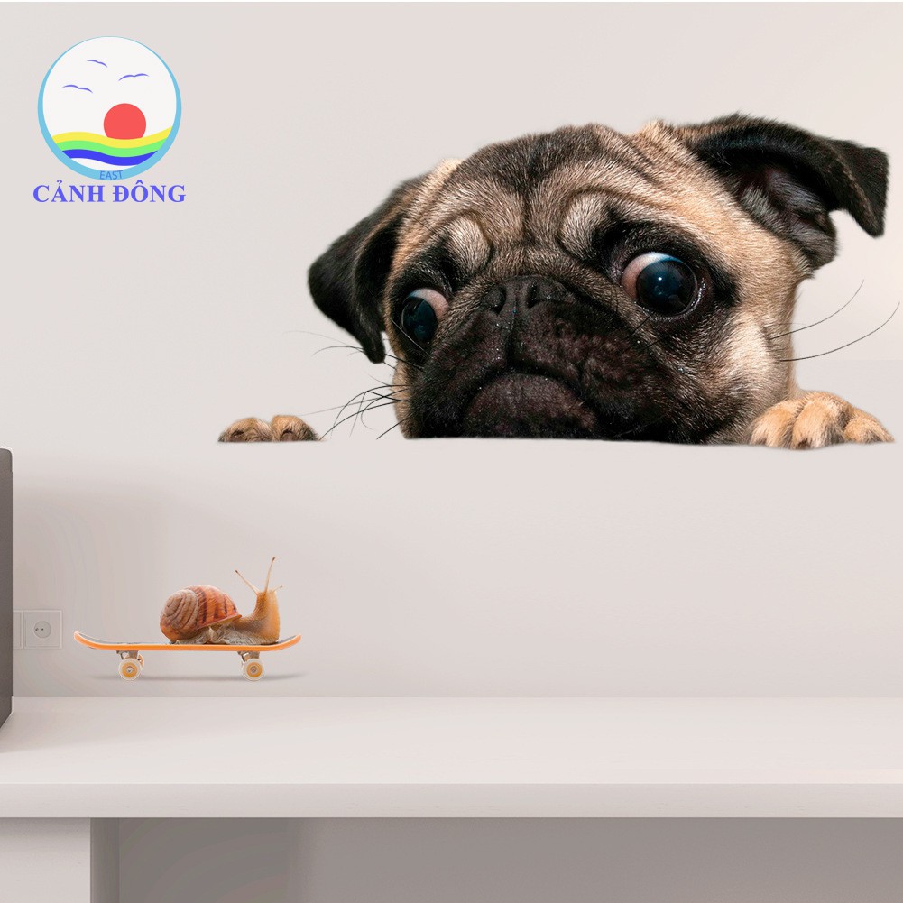 Giấy dán tường trang trí chó PUG mặt xệ dễ thương