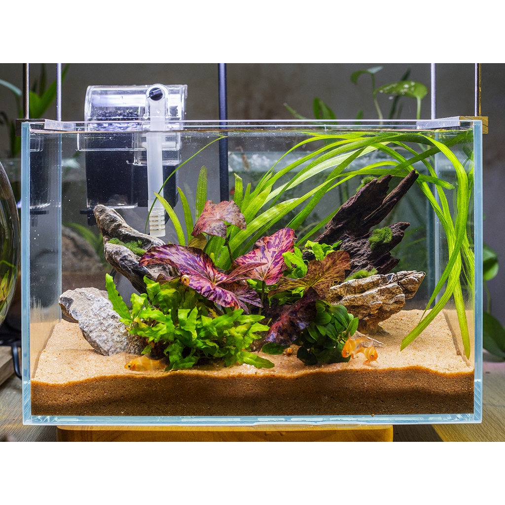 Cát Nắng vàng thuỷ sinh_1kg