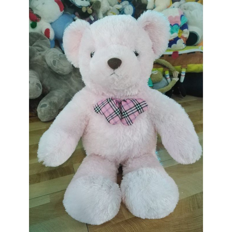 Teddy hồng 80cm