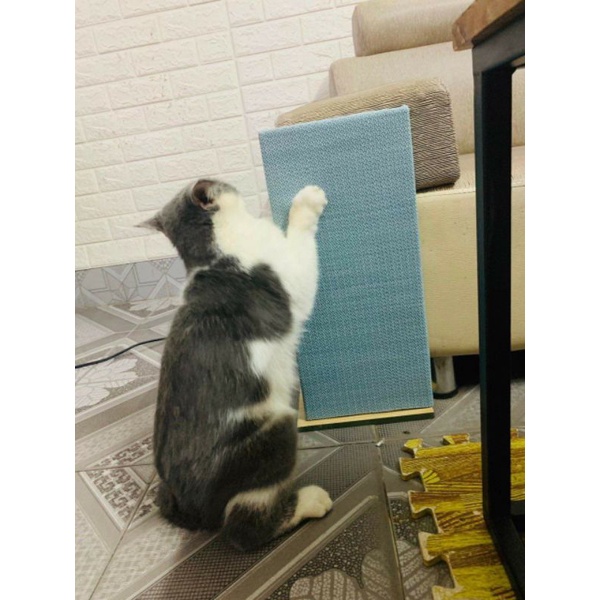 Bàn cào cho mèo để góc bàn ghế, sofa