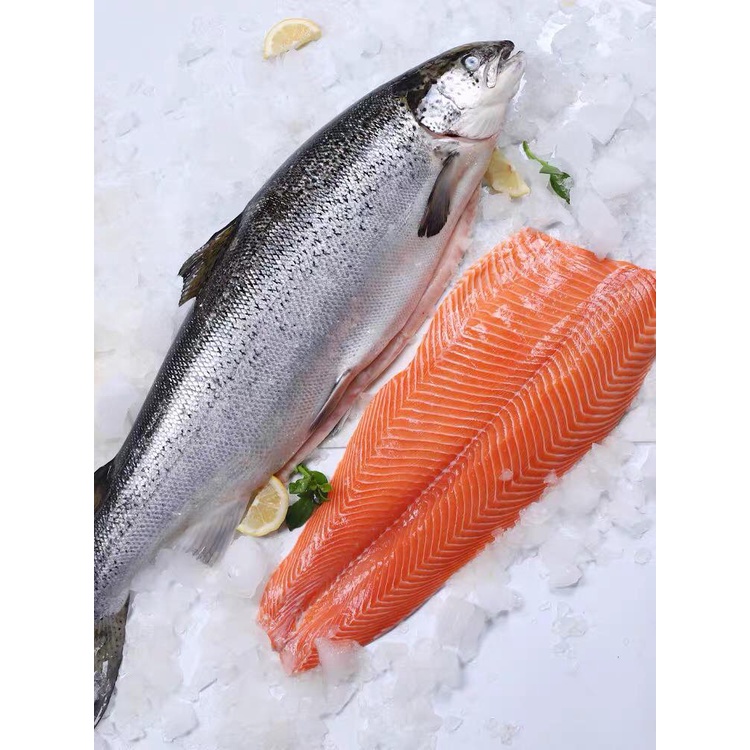 Cá hồi Nauy nguyên con - Norwegian salmon [whole fish]