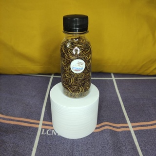 Sâu khô cho Hamster , sóc , cá , Vẹt chai 100-330ml – Giàu đạm, dễ tiêu | Hamster Petshop1