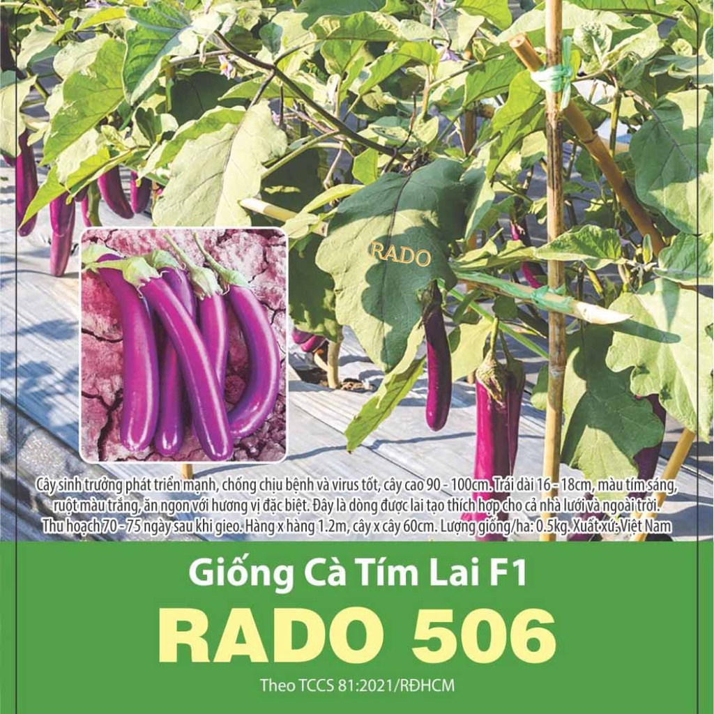 Tổng hợp hạt giống rau củ quả dễ trồng, ăn ngon, năng suất cao, trồng chậu, trong vườn, trồng quanh năm