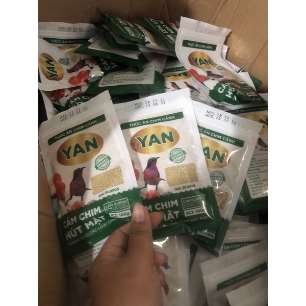 combo 3 gói cám chim hút mật Yan