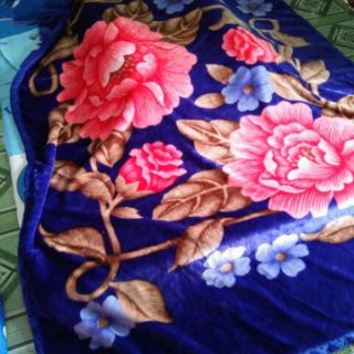 Chăn Long Tuyết Nhung 2 Mặt Dày Dặn