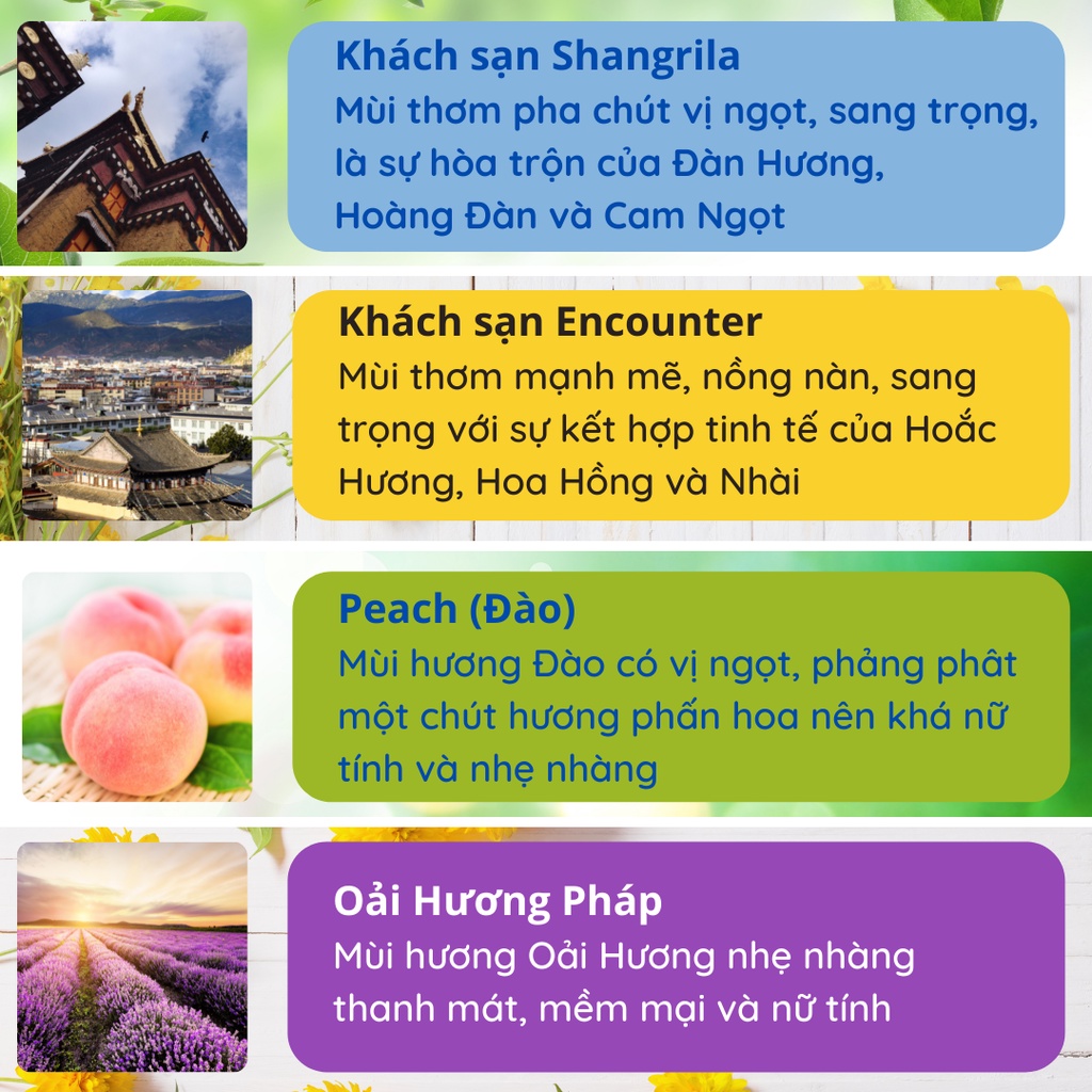 Nước Hoa Ô Tô Tinh Dầu Thơm Xe Hơi Thiên Nhiên 120ML Thơm Phòng Ngủ Đế Cao Su Chống Trượt KT10 | BigBuy360 - bigbuy360.vn