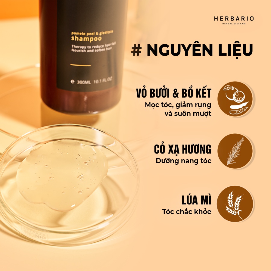 Combo Dầu Gội Bưởi và bồ kết 300ml và Kem ủ tóc Herbario 200ml