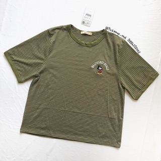 Áo thun Pull & Bear xịn xuất dư