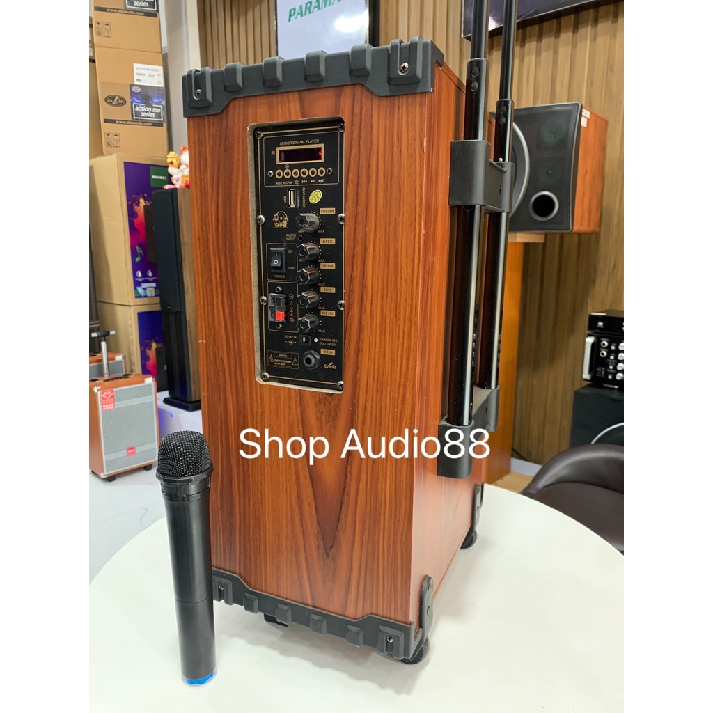 Loa kéo Bass 30cm Bluetooth KARAOKE BHZ 1208 Bass 30cm Kèm 2Micro