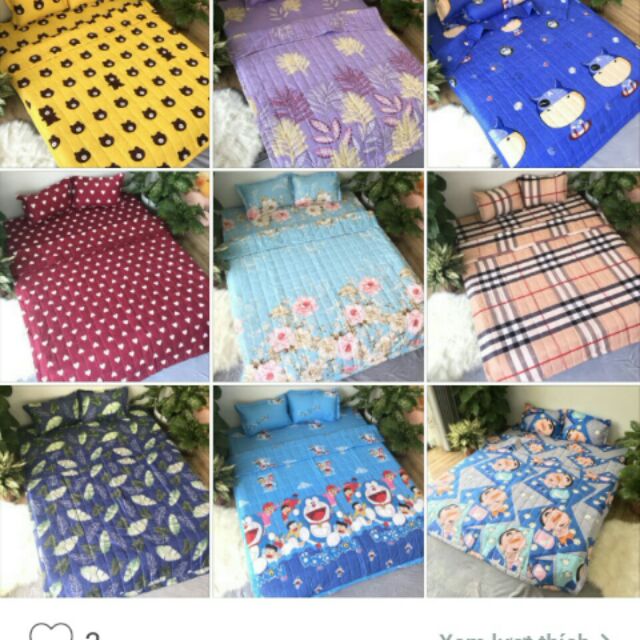 Sét chăn ga gối 5 món