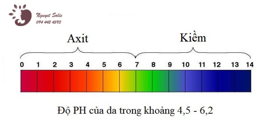 Giấy quỳ tím đo độ PH 1-14