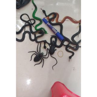 Rắn ,CHUỘT, NHỆN  dẻo