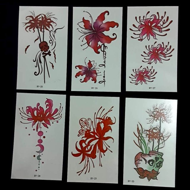 Combo 30 tấm hình xăm nước hình xăm dán Hoa Bỉ Ngạn đẹp dễ thương hot hit giá rẻ
