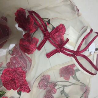 [order] váy ren thêu 2 chi tiết ( váy 2 dây + váy ren)