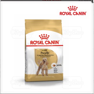 Thức ăn cho chó trưởng thành ROYAL CANIN POODLE ADULT 500g