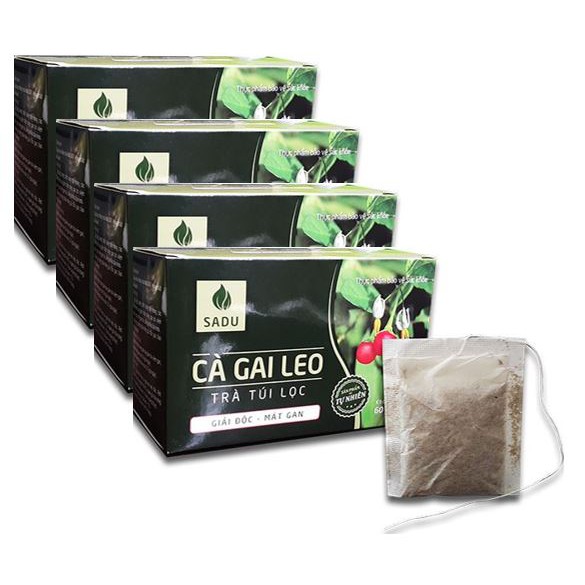 4 hộp trà túi lọc cà gai leo giải độc mát gan - 100% Sản phẩm hữu cơ (150g/hộp)
