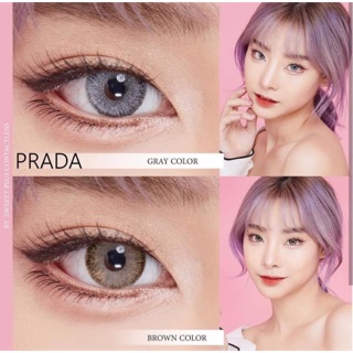 lens nâu tây và xám tây mẫu mới