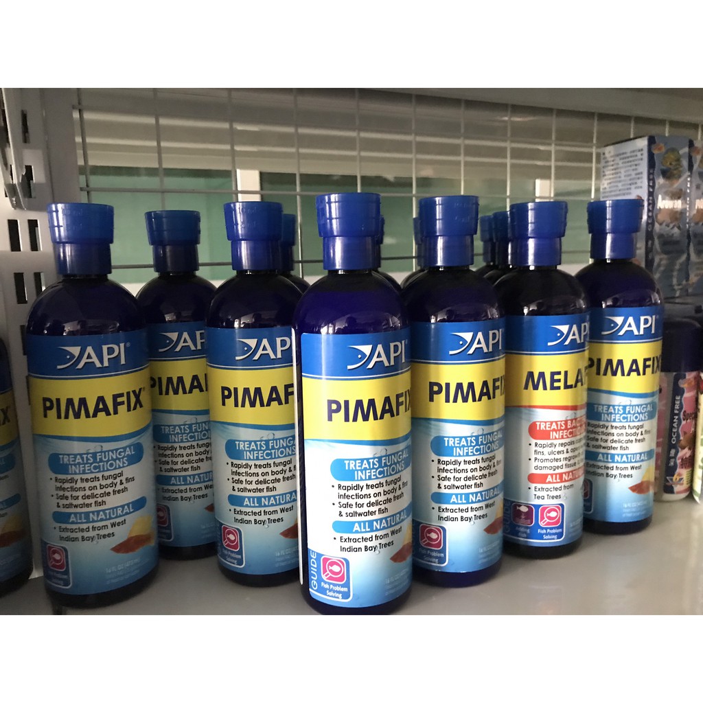 API PIMAFIX - Đặc Trị Nhiễm Nấm, Khuẩn Hại Ở Cá Cảnh [Chính hãng]